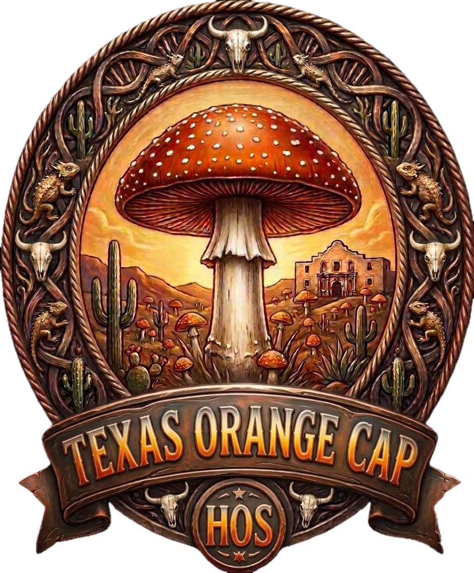 Texas Orange Cap โ 10ml Liquid Culture - House of Spores